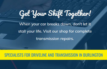 Brant Transmission