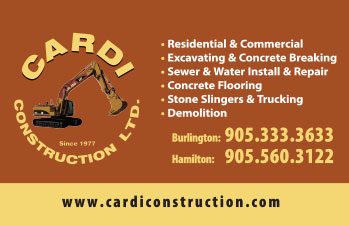 Cardi